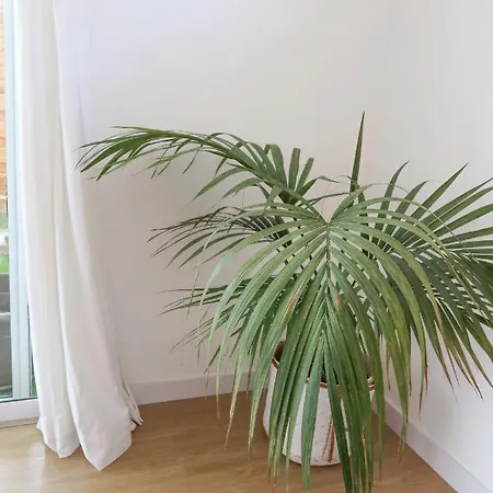 Casitas Tenerife - Papacho Loft Адехе
